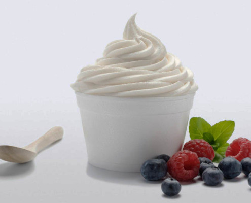 best-frozen-yogurt-franchises