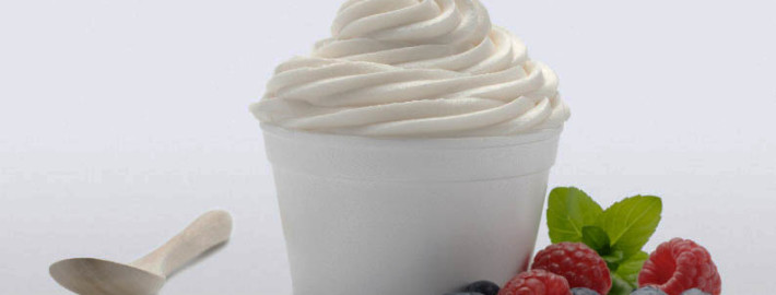 best-frozen-yogurt-franchises