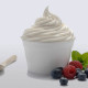 best-frozen-yogurt-franchises